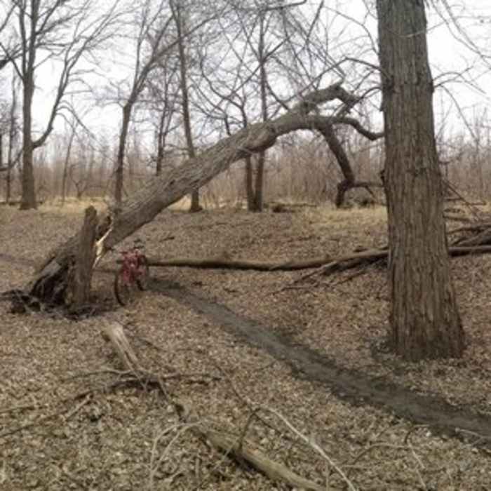 Near Traverse des Sioux Trails