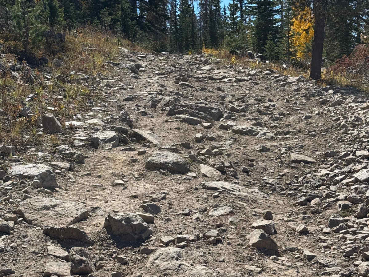 West Hahns Peak Road photo 3