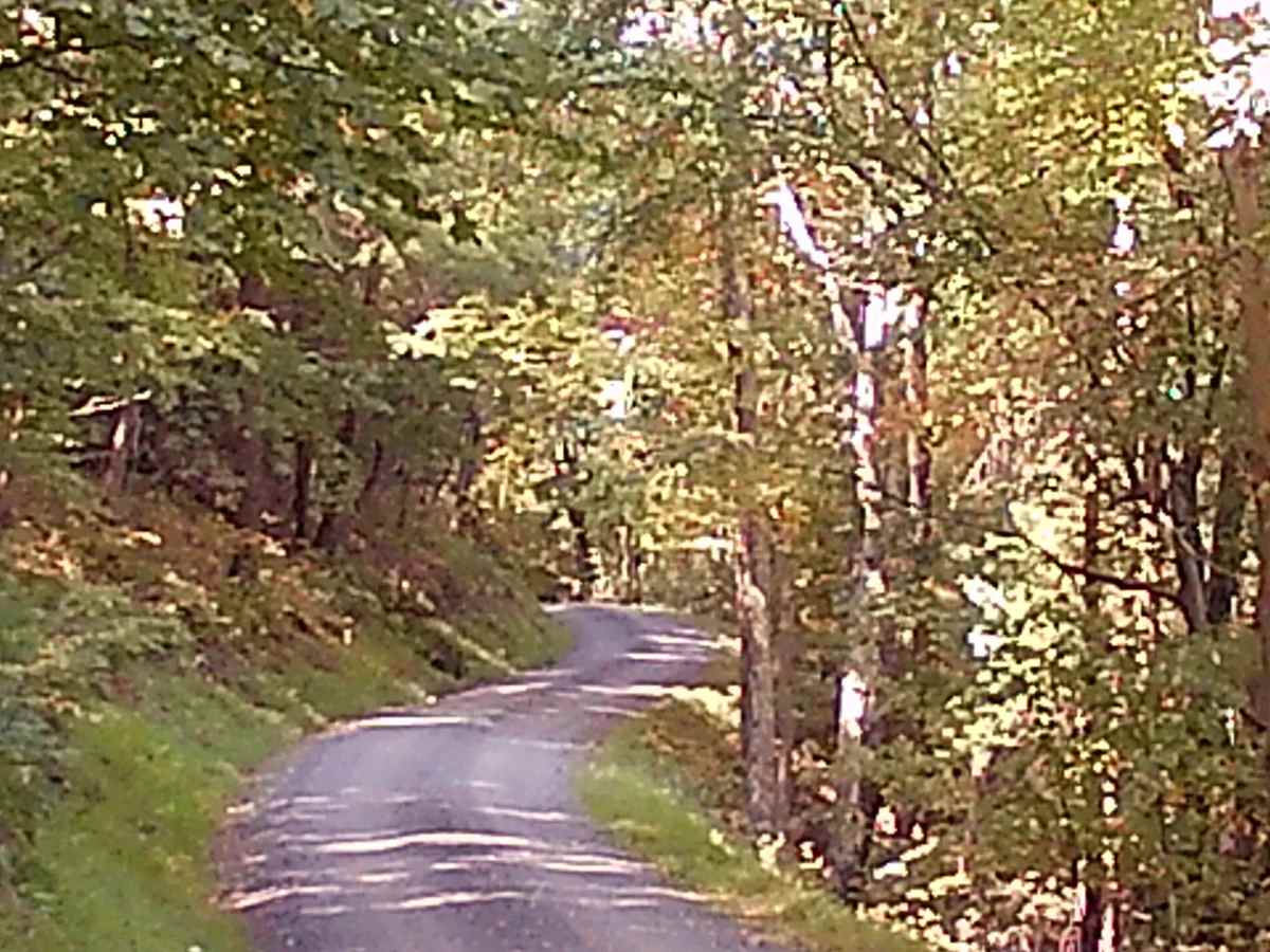 Locust Ridge road photo 3