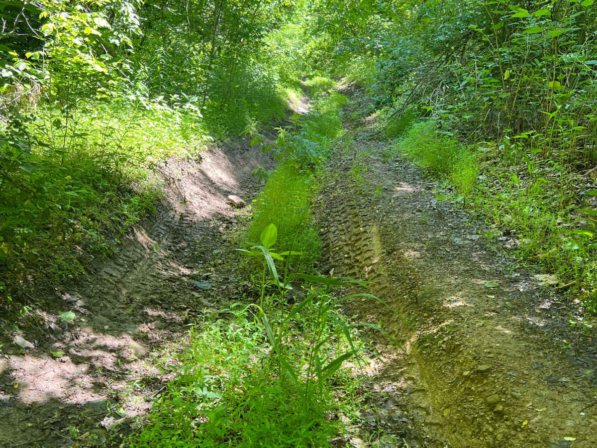 Q75 trail photo