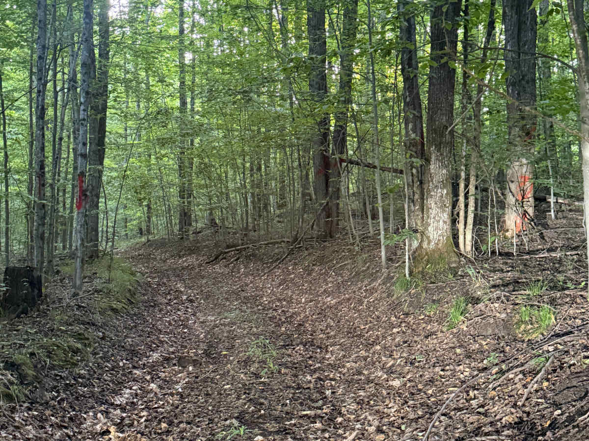 W 8 Trail photo 3