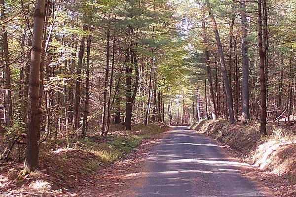 Decker Run Road