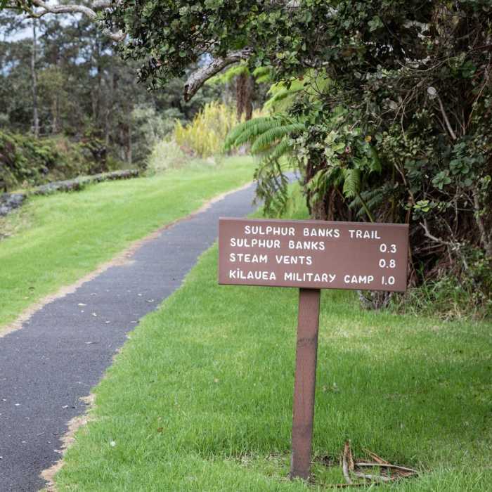 Near Sulphur Banks + Crater Rim Trail Loop