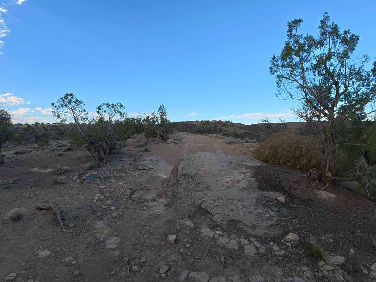 Little Buck Road trail photo