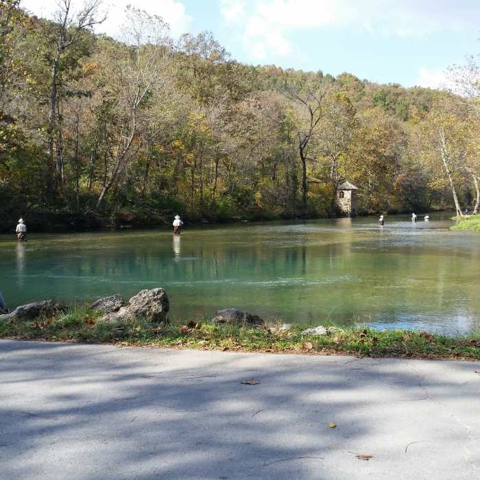 Near Spring Trail
