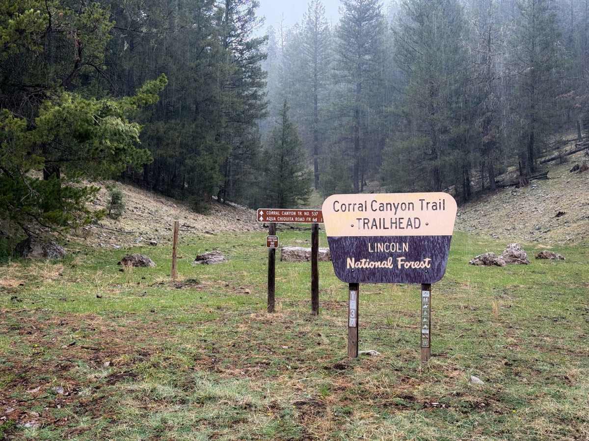 Corral Canyon - FS 537  trail photo
