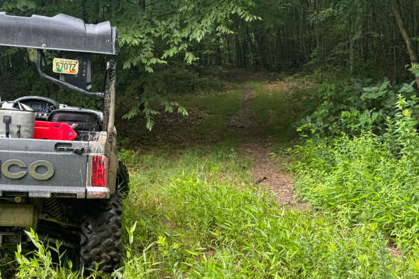 Trail 80