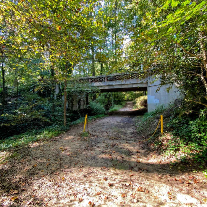 Near Shagbark Loop
