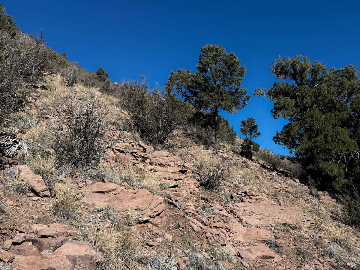 7 Up Trail #5  trail photo
