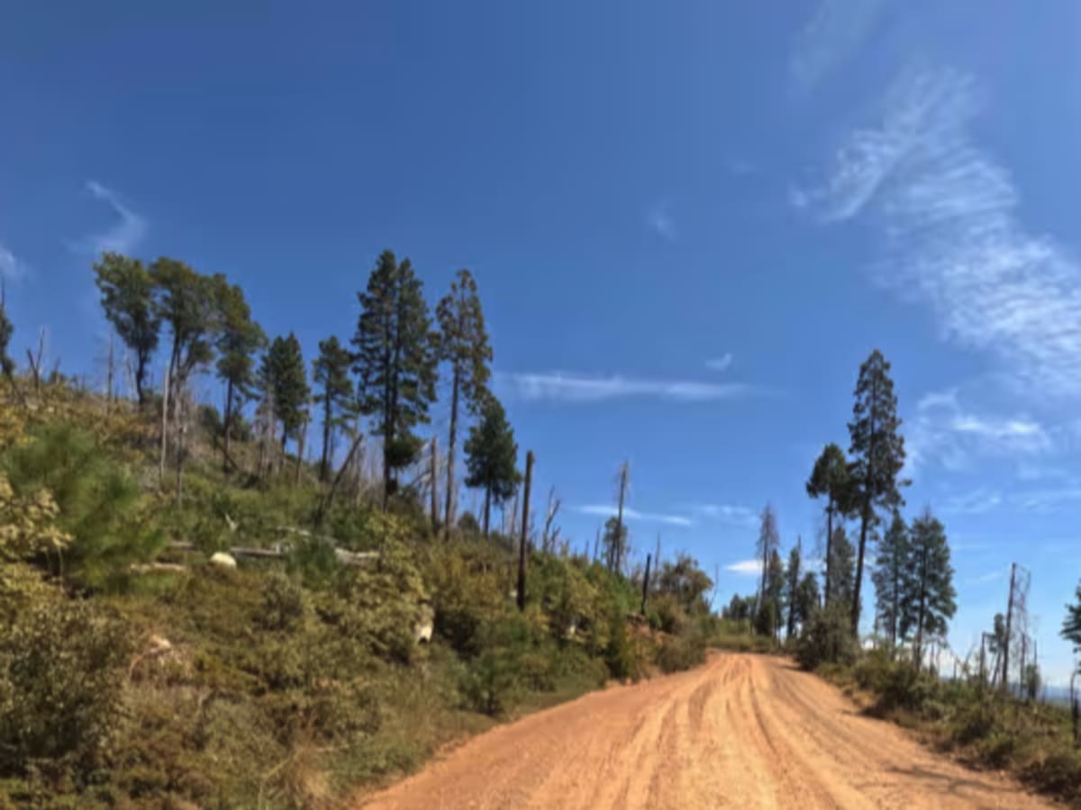Miami Mountain Road - FS 6S014 trail photo