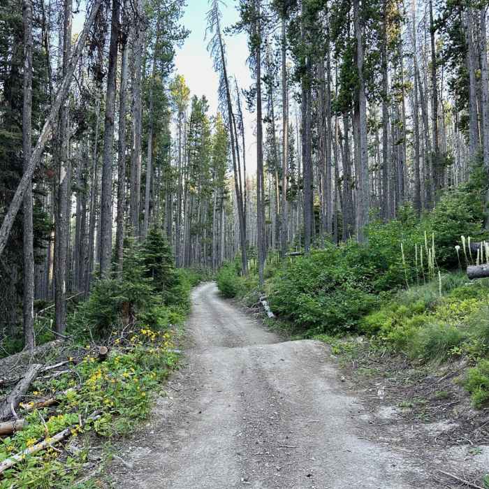 Near Continental Divide Trail: Montana-Idaho Section 21