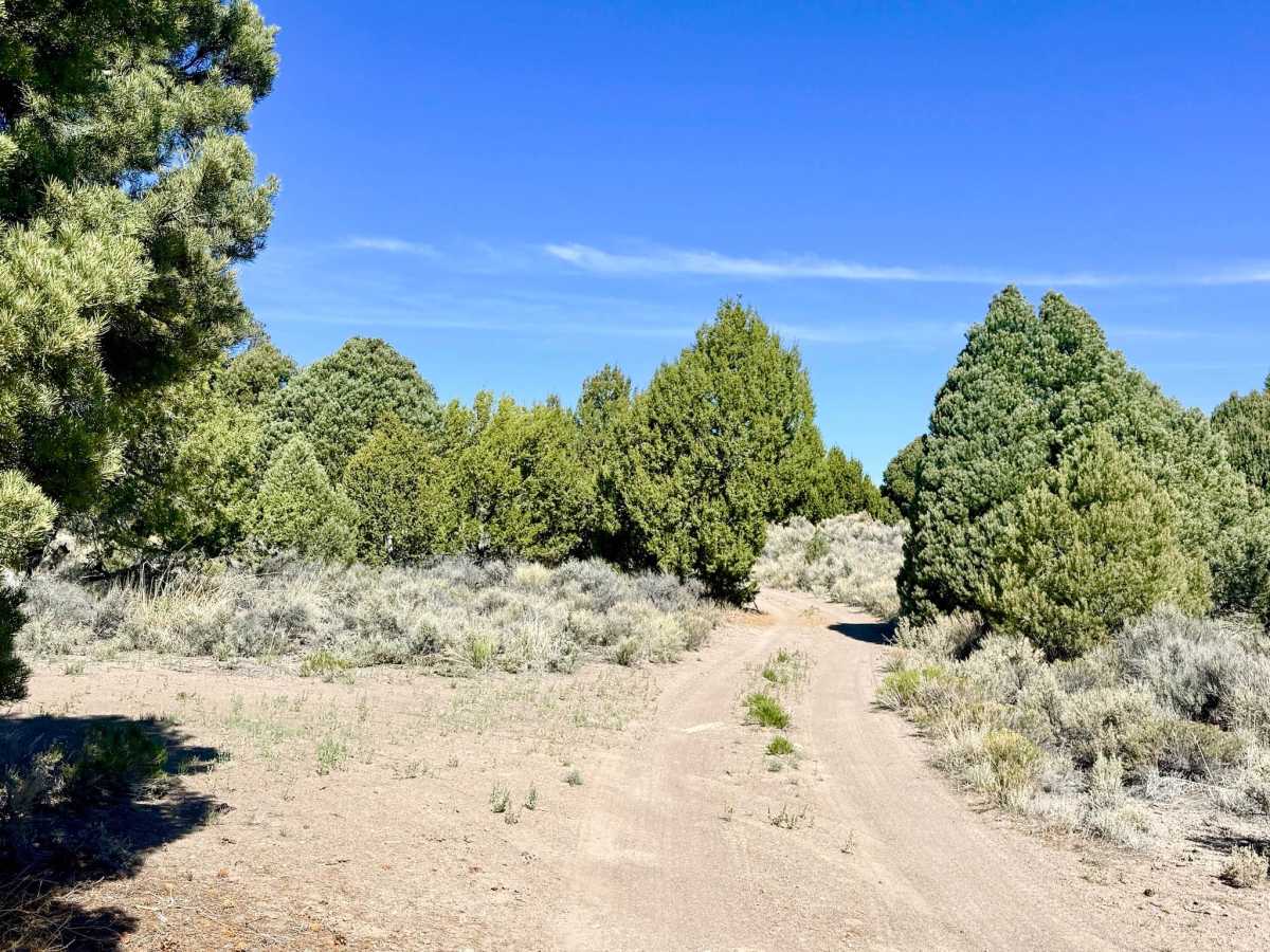 Faulkner Creek - FS 43266 photo 4