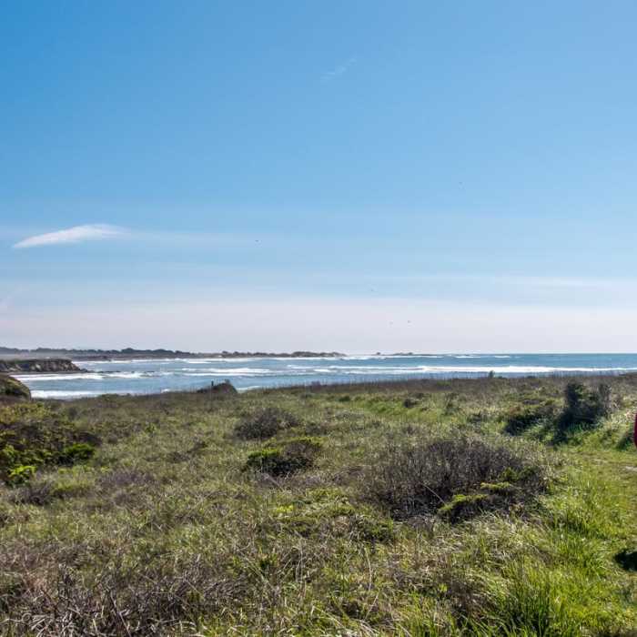 Near Atkinson Bluff Trail