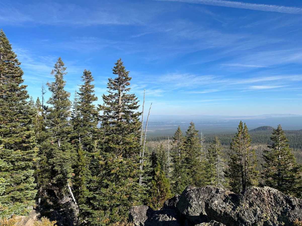 Bearwallow Butte trail photo