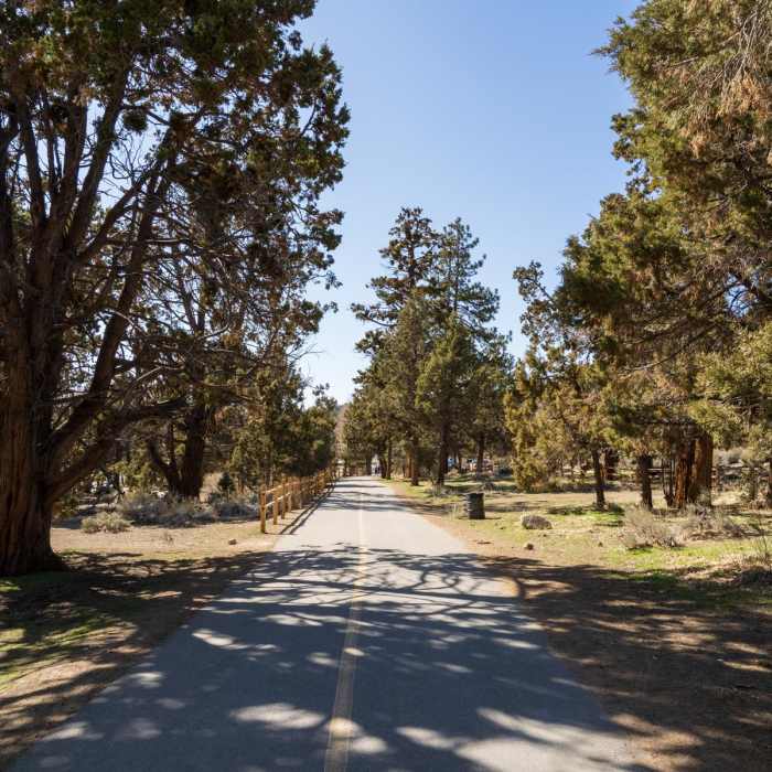 Near Alpine Pedal Path