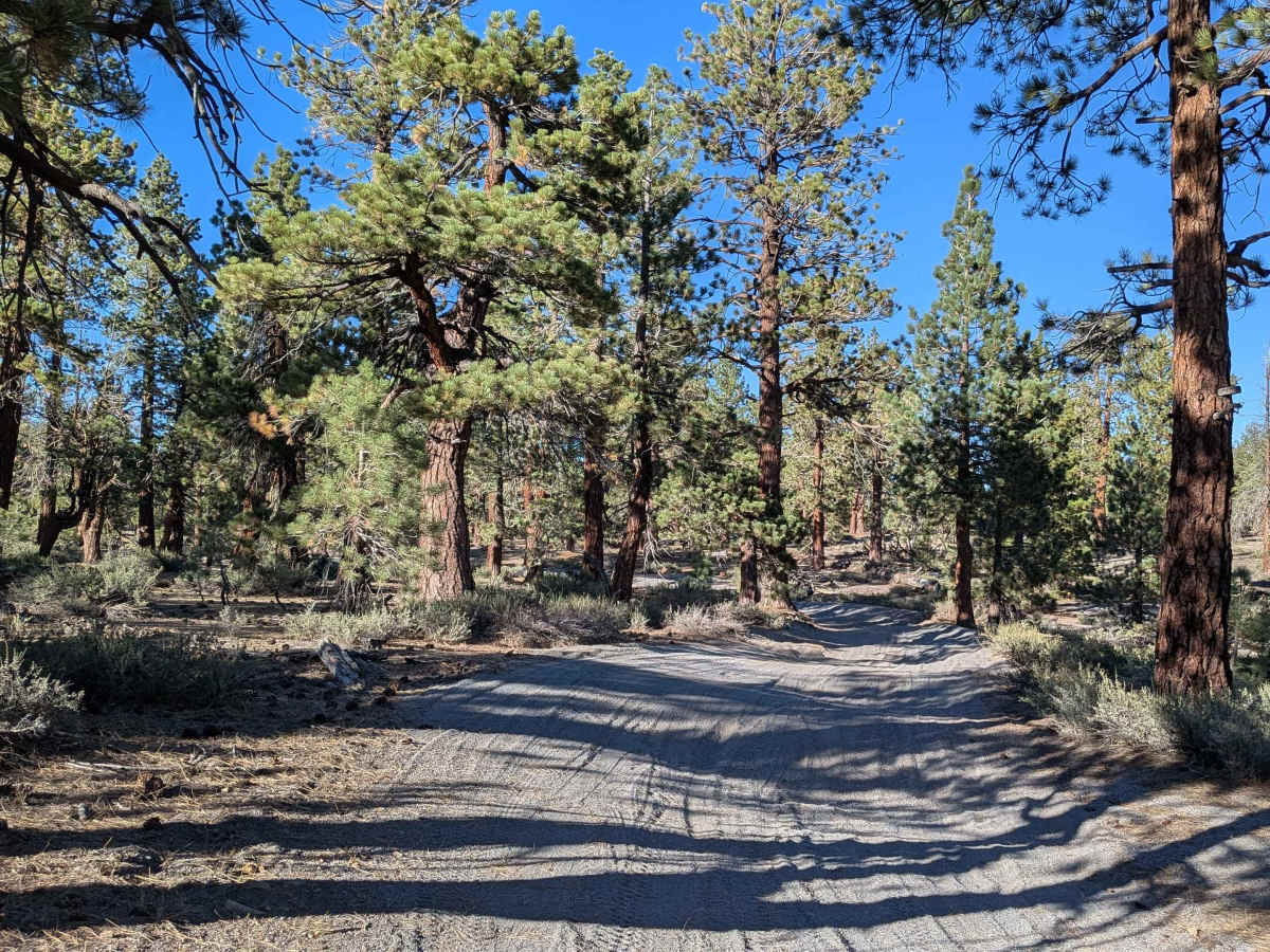 FS 2S11 trail photo