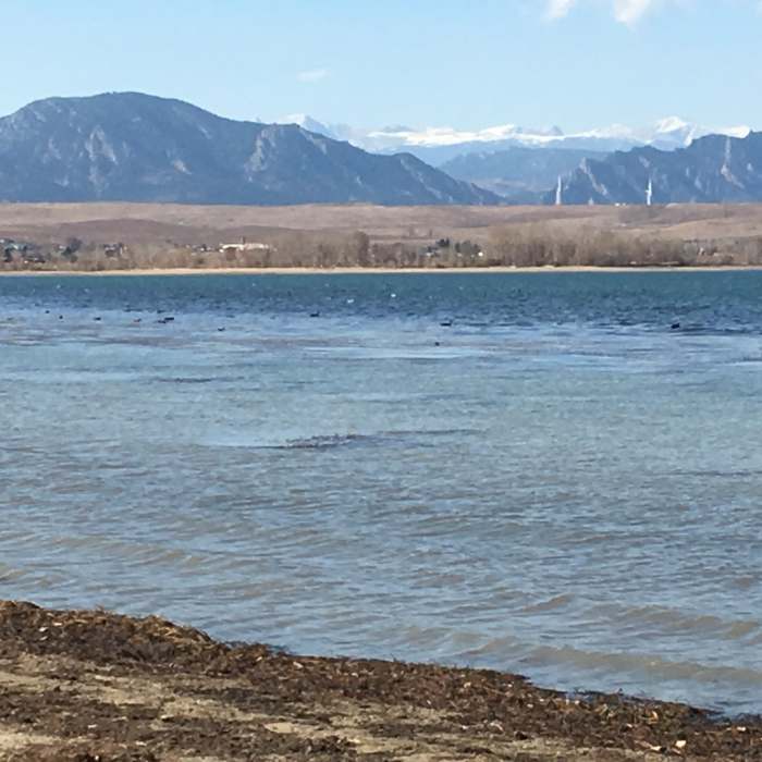 Near Standley Lake South Shore Outer Loop