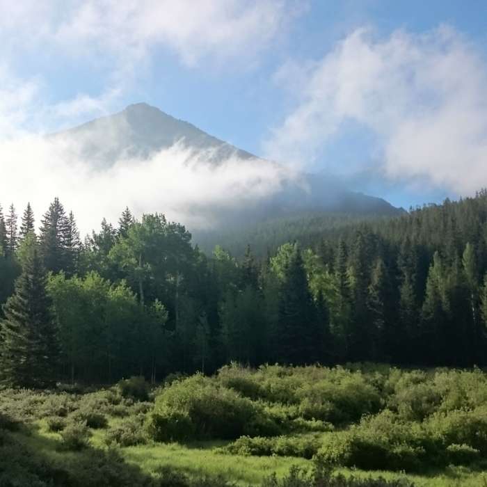 Near Horsethief Park Trail (#704.C)