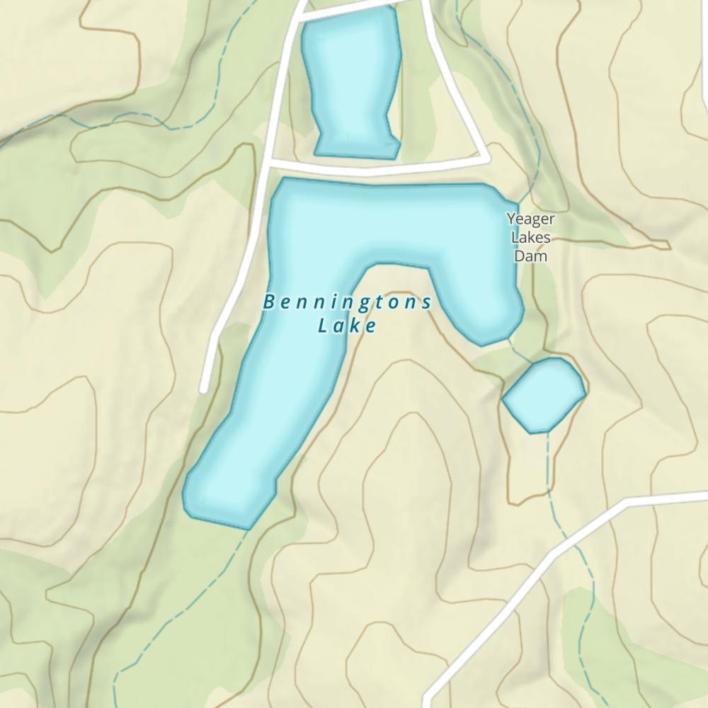 Benningtons Lake photo