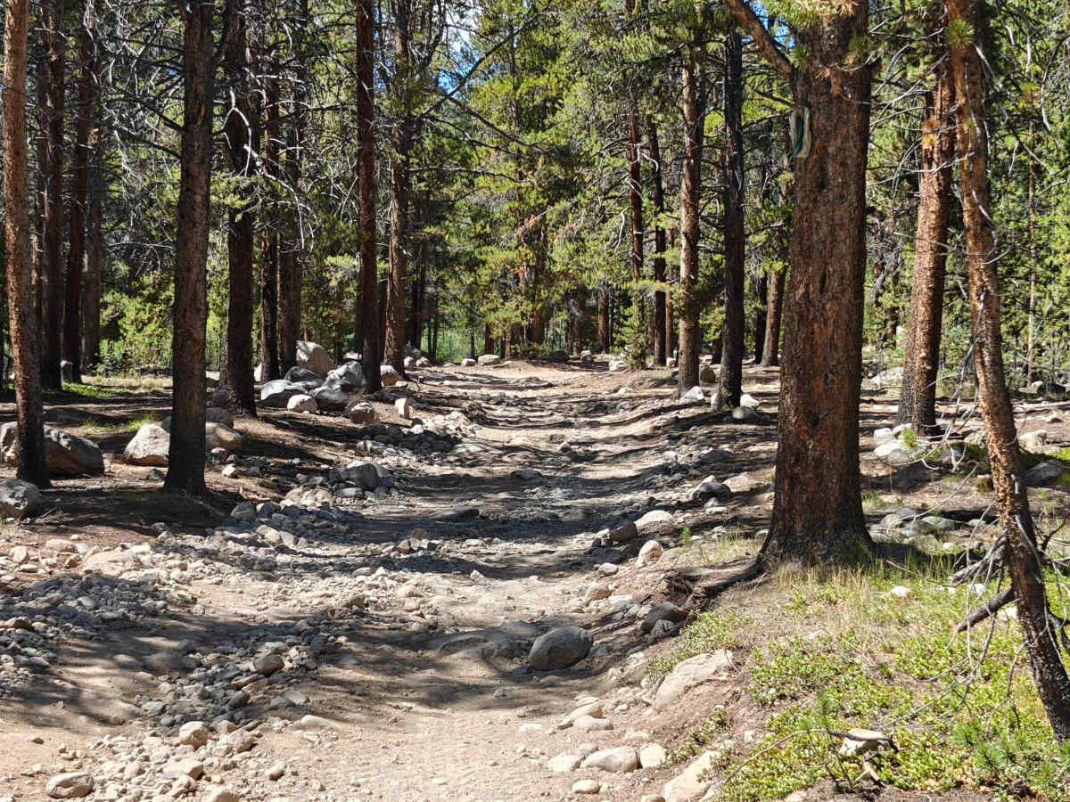 Tellurium Creek Road photo 2