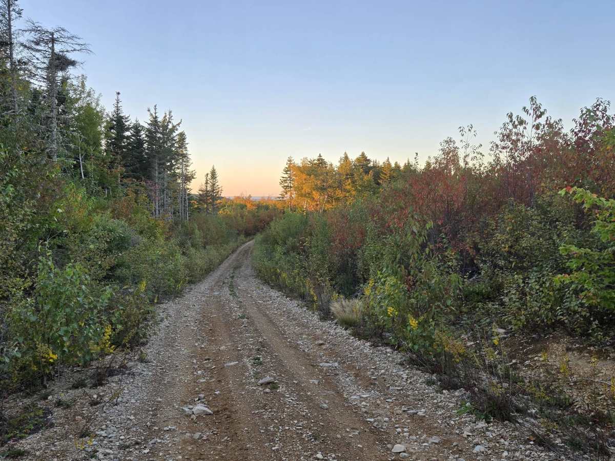 Flint Hill Road photo 2