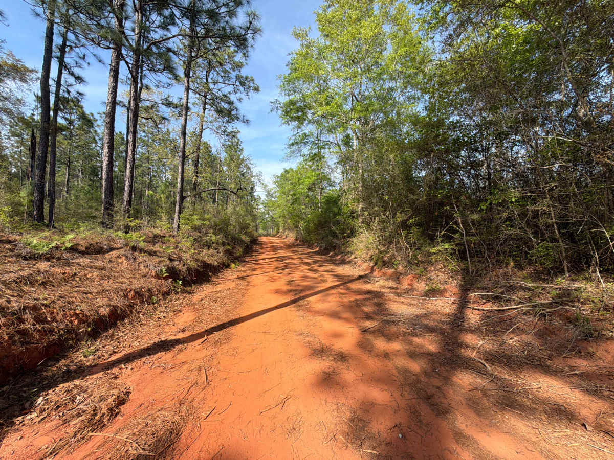 McCoy Road photo 6