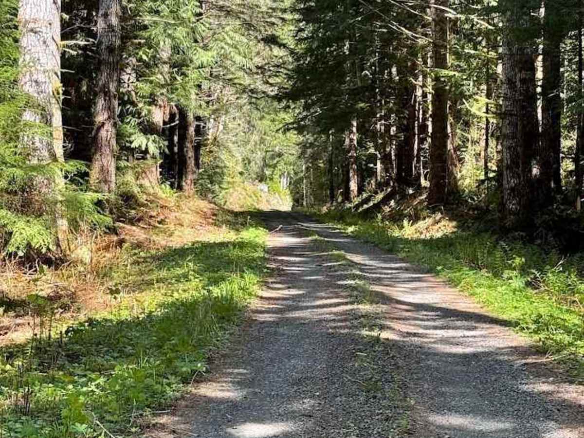 West Twin Road - FS 3000 photo 2