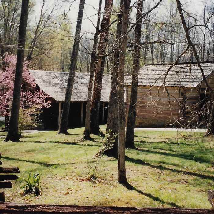 Near Boone Trace Loop Trail
