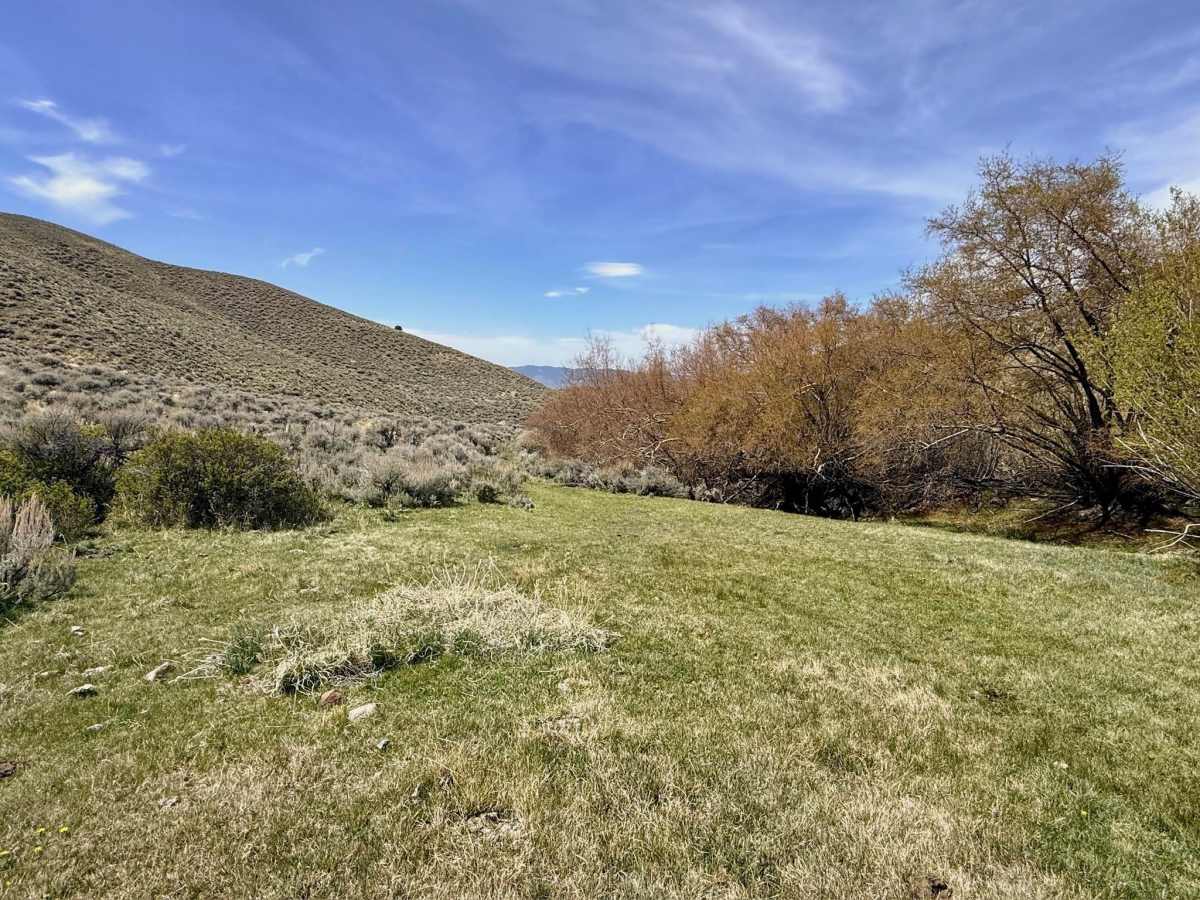 Cottonwood Canyon photo 3
