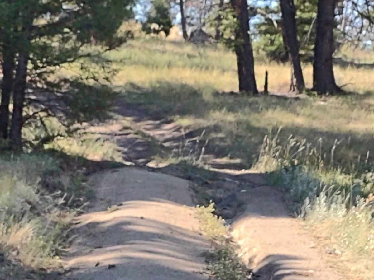 Erosion Excursion photo 3