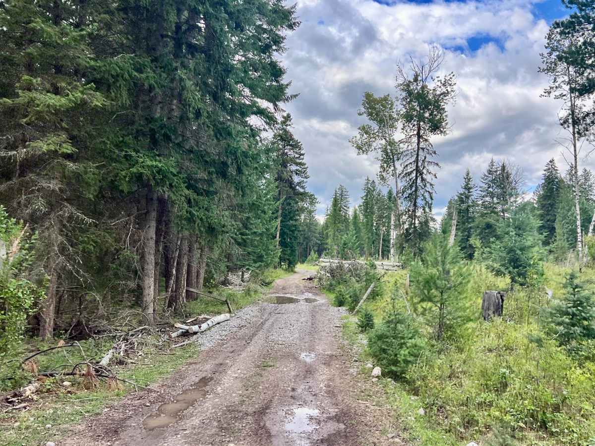 Koocanusa Lookout Loop photo 4