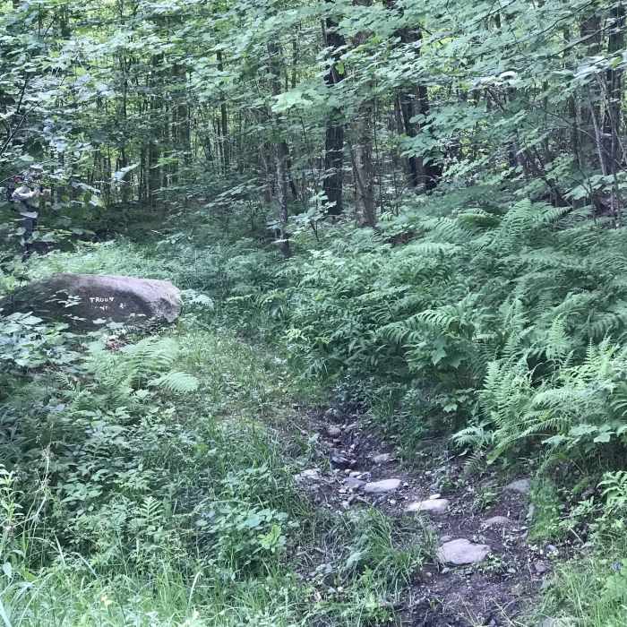 Entrance to the trail, about 100 paces from the parking area, on the right. Not obvious unless you know what you're looking for. Near Trout Pond Trail