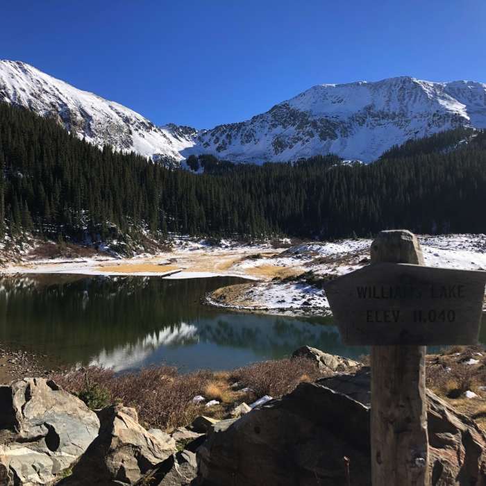 Near Williams Lake Trail #62