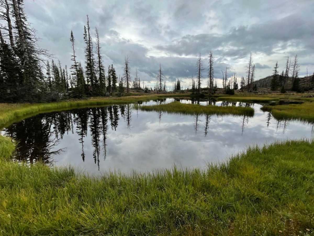 Gardners Fork photo 4