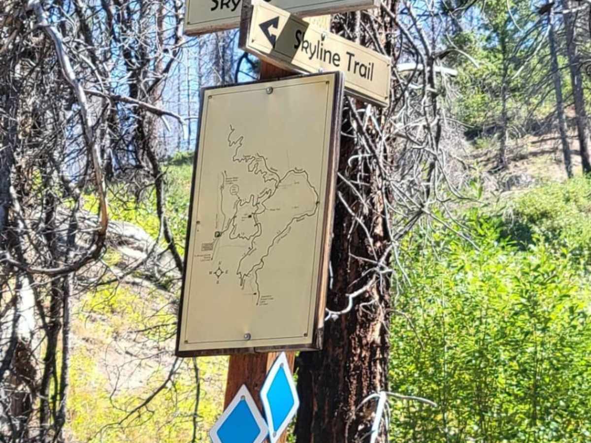 Skyline Trail photo 2