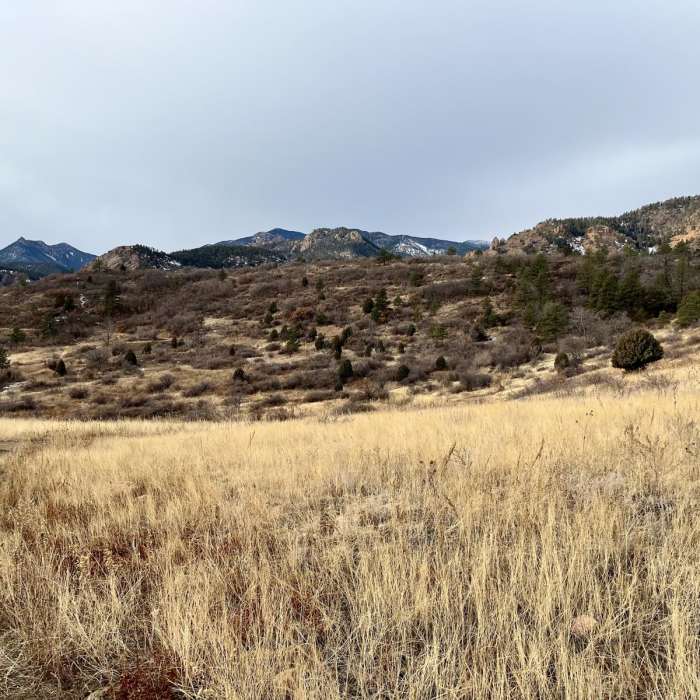 Near Upper Meadows, Ridge, Ponderosa, and Chamberlain Loop