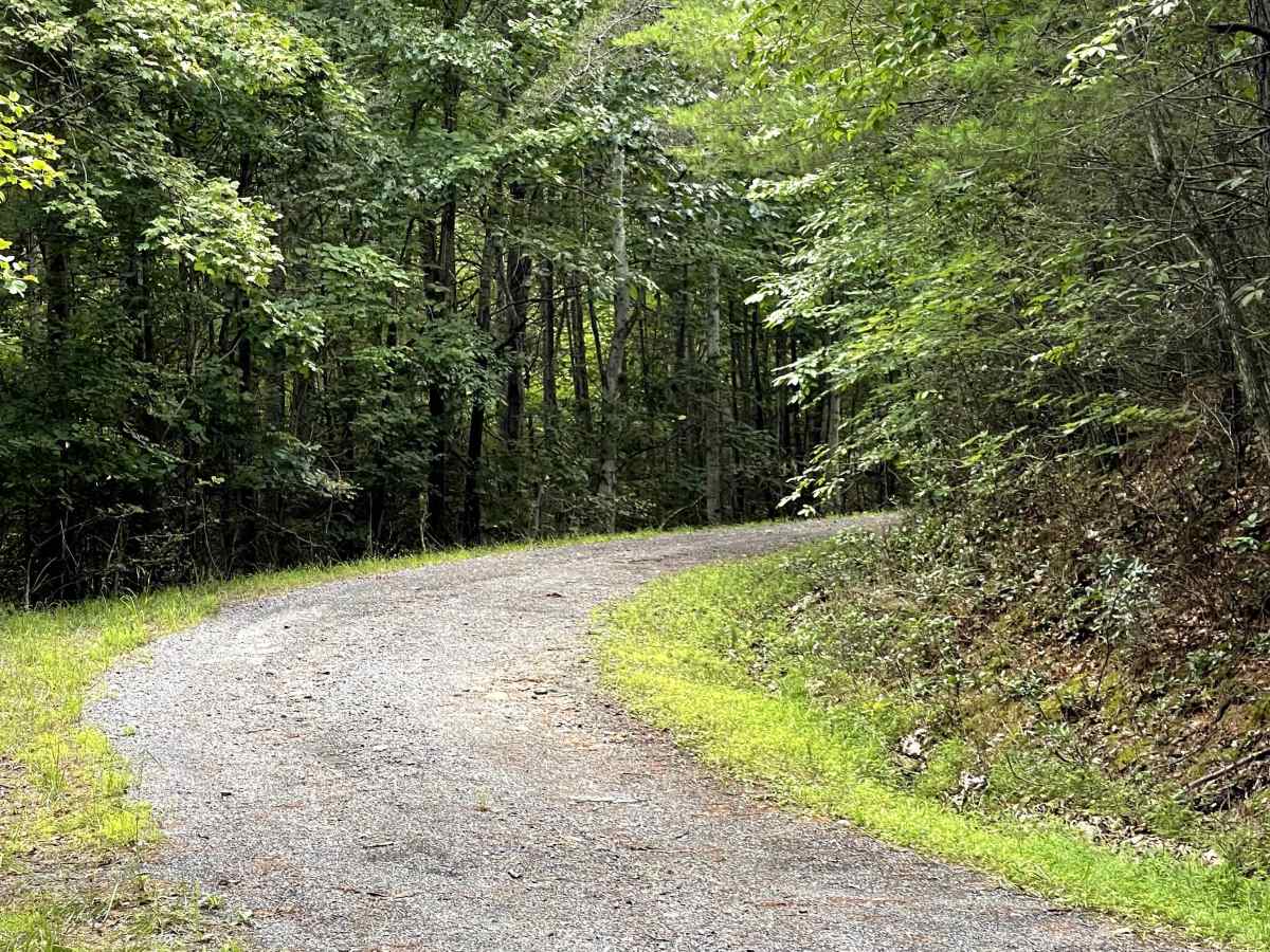 Garden Mountain Road trail photo