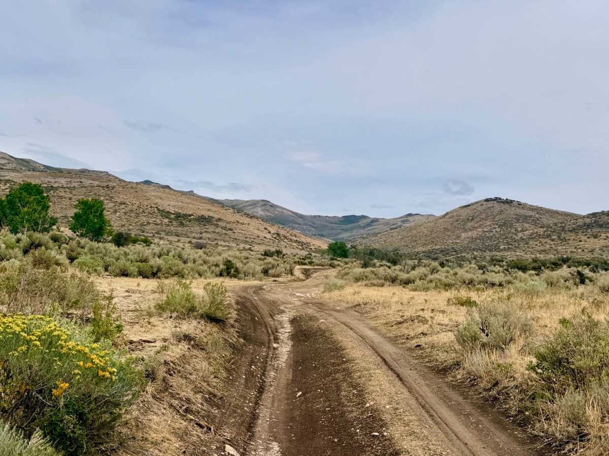 Horse Creek - FS 57506 photo 5