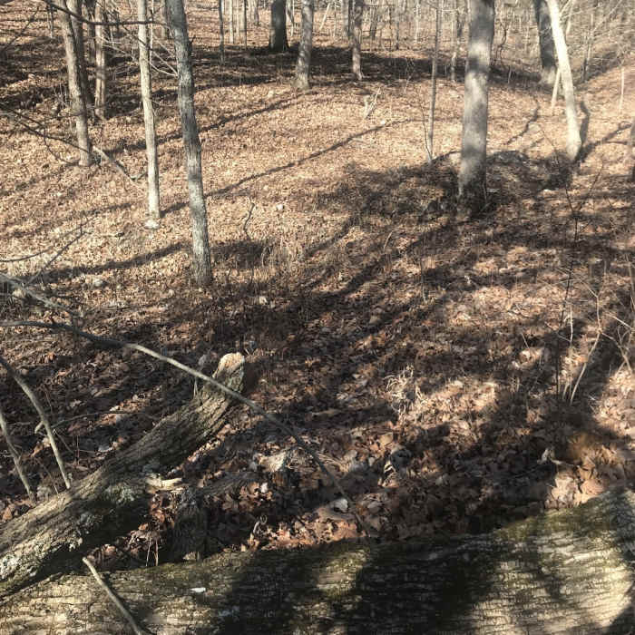 Typical views Near Berry Bend East