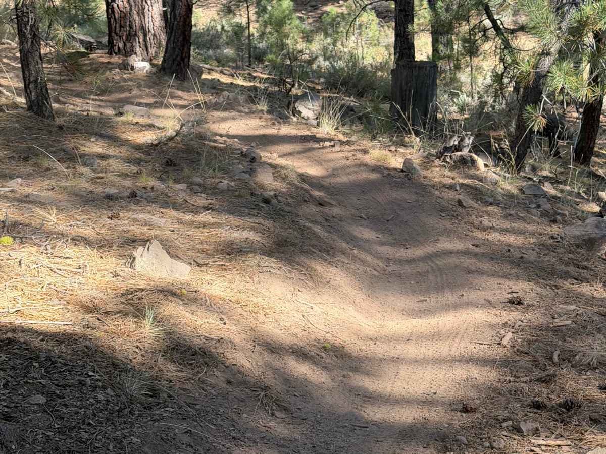 Beer Run Trail Lower photo 6