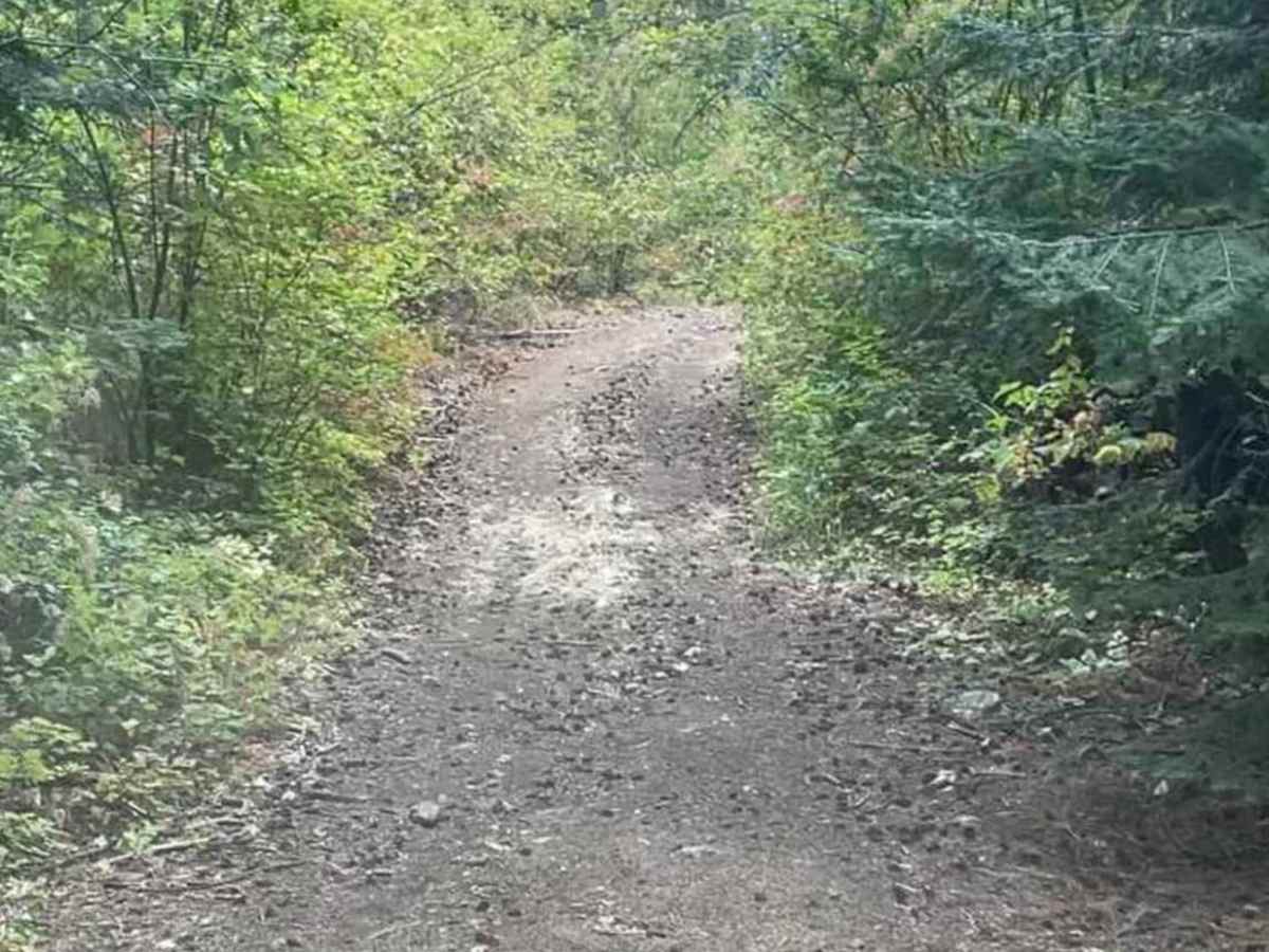 Jeru Creek Loop photo 4