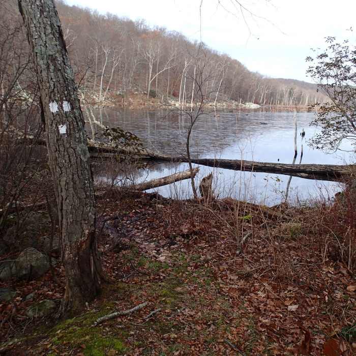 Clinton West trail end at the beaver dam Near Buckabear Pond Loop via Bearfort Waters - Clinton Trail