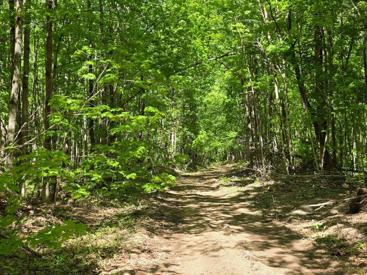 Peet Scenic Route photo 2