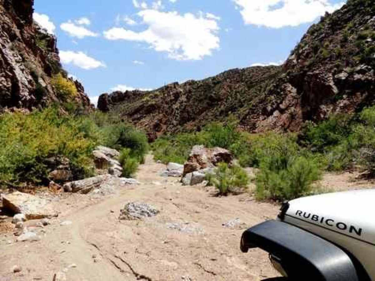 Ripsey PLUS trail photo