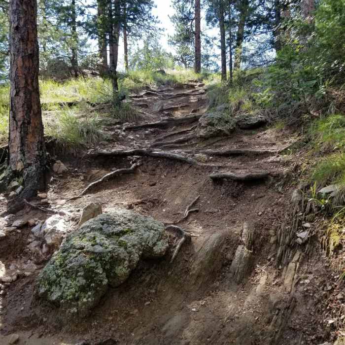 Near Crosier Mountain Garden Gate Trail (#931)