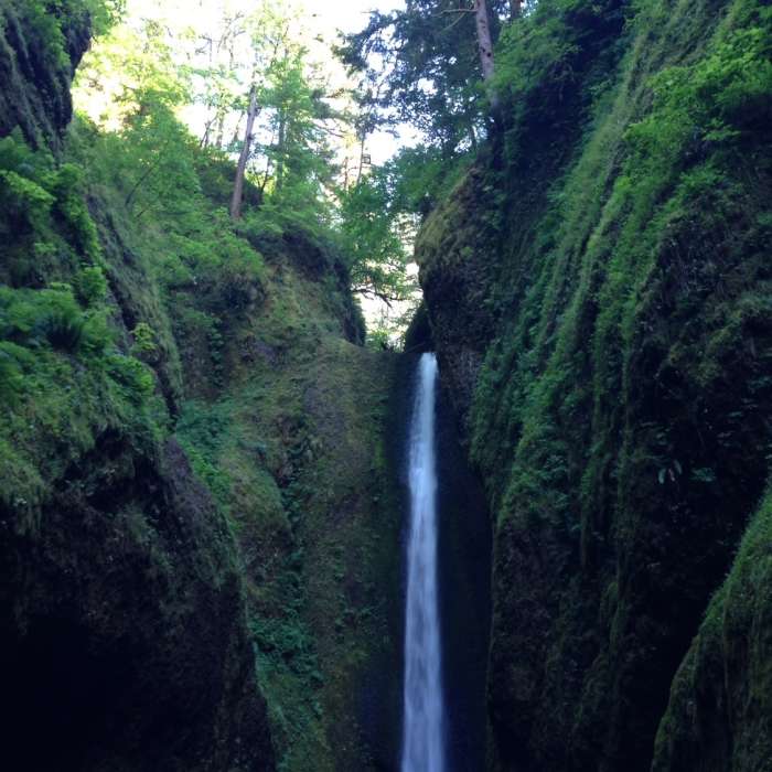 Near Oneonta Trail #424
