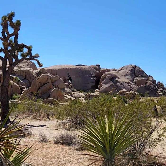 Near Split Rock Loop Trail