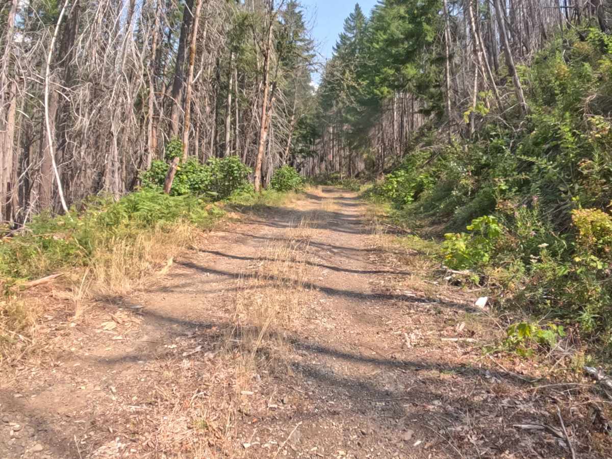 Mari-linn Road - FS 2242000 photo 3