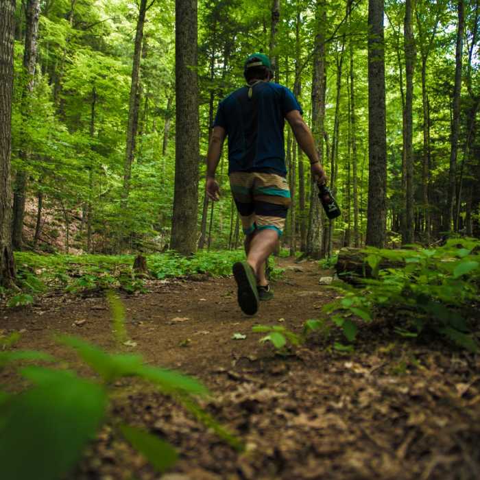 Near Roaring Brook Falls Near Roaring Brook Falls