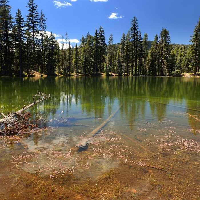 Near Mountain Lakes Loop